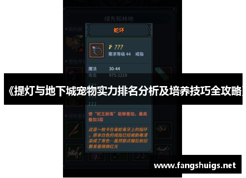 《提灯与地下城宠物实力排名分析及培养技巧全攻略》